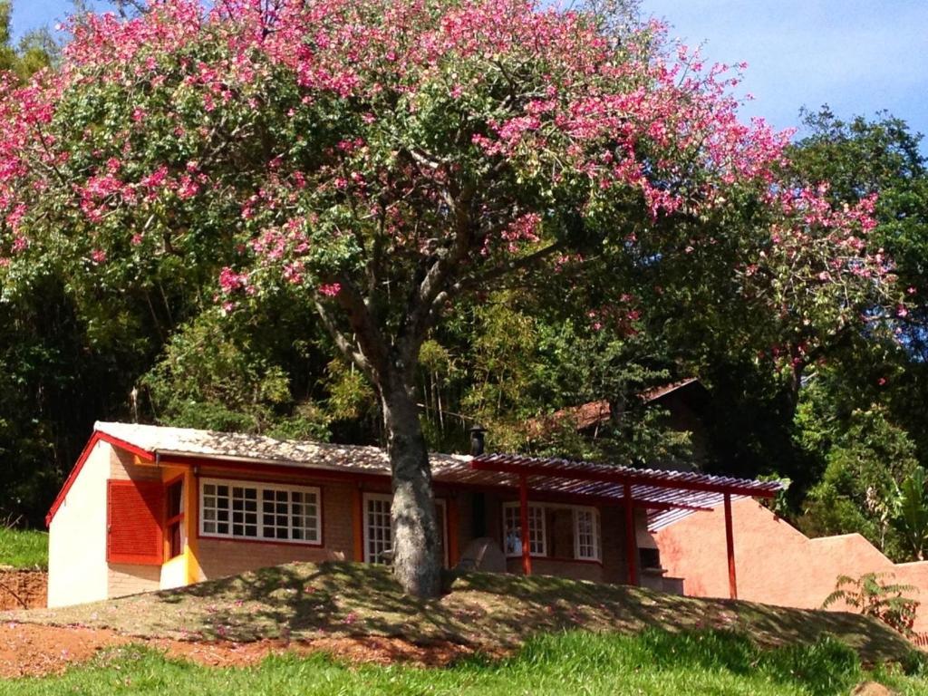 Pousada Chales Da Casa Centenaria Santo Antonio do Pinhal Exterior photo